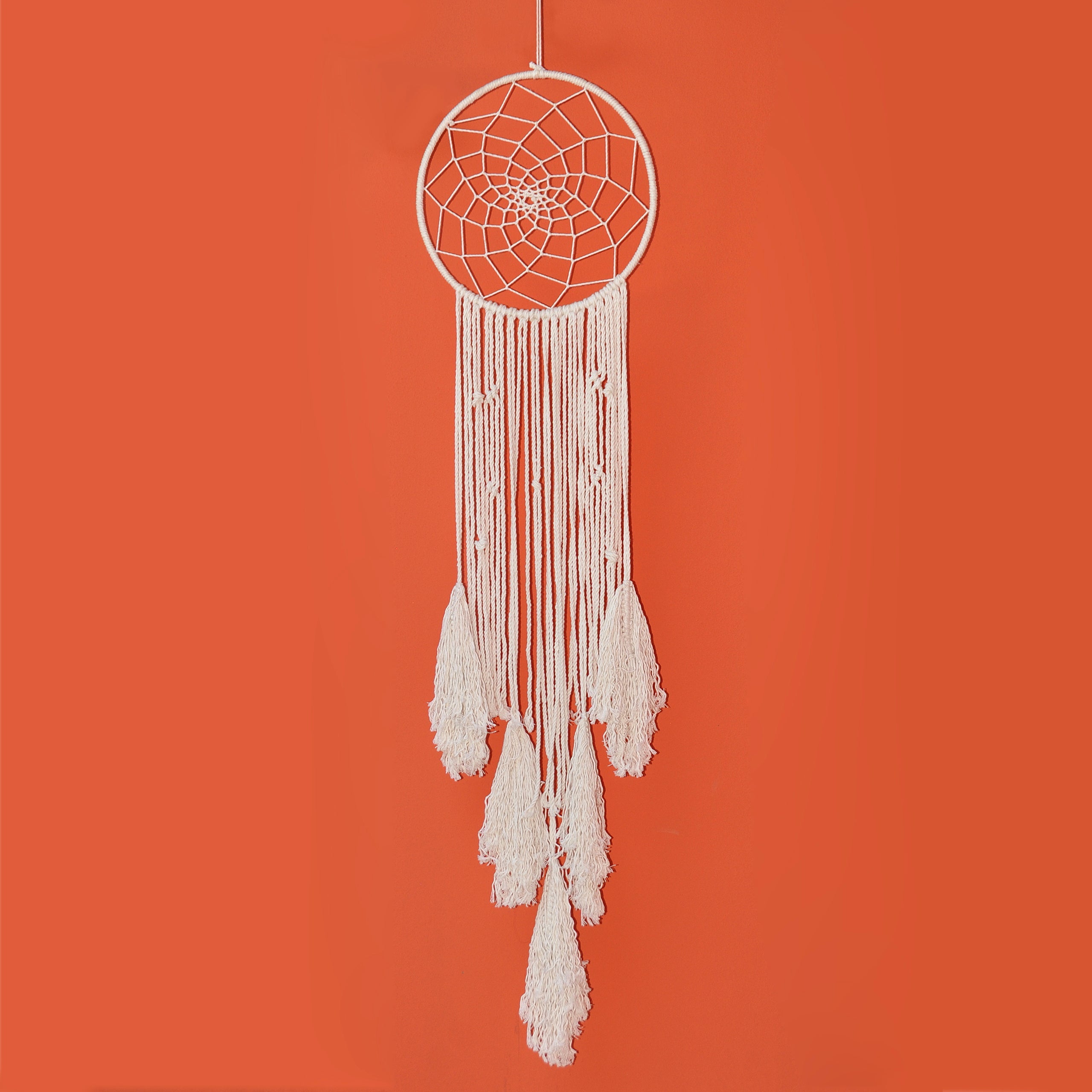 Dream Catcher