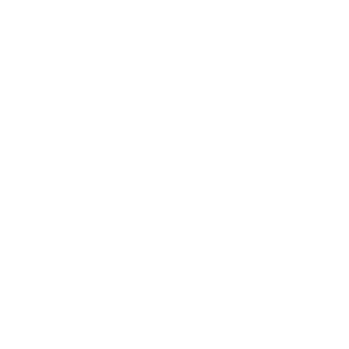 bestguidestore inc